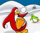 Пингвины войну снега в Club Penguin